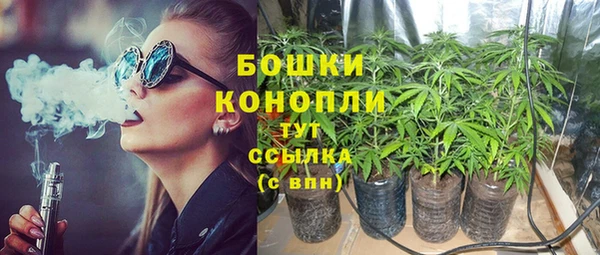 молекула духа Магас