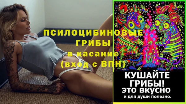 мдпв Липки